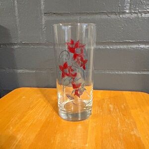 Vintage Hand Painted Highball Glasses
